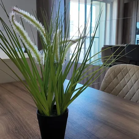 公寓 6 Bedroom 2 *